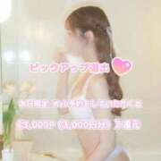 ヒメ日記 2026/04/23 11:30 投稿 のあん THE ESUTE 五反田店