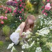 ヒメ日記 2026/05/15 09:49 投稿 のあん THE ESUTE 五反田店