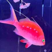 ヒメ日記 2026/04/10 10:18 投稿 煌良（きらら） 東金人妻花壇