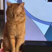 ヒメ日記 2026/04/10 16:12 投稿 ちぃ ちょいぽちゃMAX 鯖江店