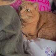 ヒメ日記 2026/04/18 09:42 投稿 ちぃ ちょいぽちゃMAX 鯖江店