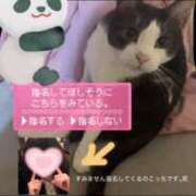 ヒメ日記 2026/07/30 19:27 投稿 なつ 艶（えん）