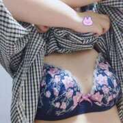 ヒメ日記 2026/04/12 13:13 投稿 ぱん 大高・大府市・東海市ちゃんこ