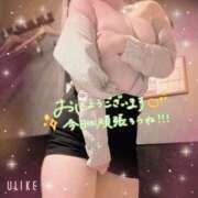ヒメ日記 2026/06/12 06:30 投稿 かな BAD COMPANY（バッドカンパニー）