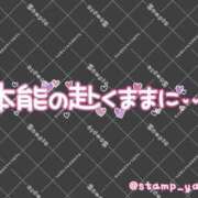ヒメ日記 2026/04/19 11:38 投稿 一ノ瀬【いちのせ】 丸妻 西船橋店