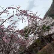 ヒメ日記 2026/04/09 09:57 投稿 はづき 熟女の風俗最終章 蒲田店