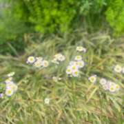 ヒメ日記 2026/05/08 18:32 投稿 さえ ドリーム水戸