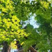 ヒメ日記 2026/05/17 14:25 投稿 蓮村 ルリカ 東京貴楼館