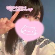 ヒメ日記 2026/04/15 15:10 投稿 みも ドリーム水戸