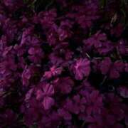 ヒメ日記 2026/04/30 10:03 投稿 まりん★完未おっとり巨乳少女 立川女学園