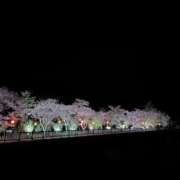 ヒメ日記 2026/04/30 19:43 投稿 まりん★完未おっとり巨乳少女 立川女学園