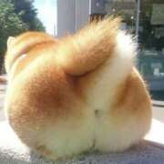 ヒメ日記 2026/04/17 19:09 投稿 実里/みのり 五反田アネージュ（ユメオト）