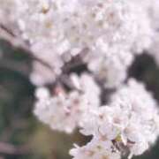 ヒメ日記 2026/04/11 11:14 投稿 瑛美/えみ 五反田アネージュ（ユメオト）