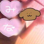 ヒメ日記 2026/06/19 21:30 投稿 みな 花夫人