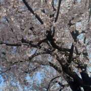 すずか 初出勤 東京メンズボディクリニック TMBC 上野店