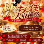 ヒメ日記 2026/09/21 16:29 投稿 みゆき One More 奥様　五反田店