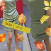 ことは あいにくのお天気ですが💦 完熟ばなな 上野店