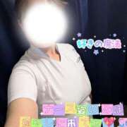 ヒメ日記 2026/09/22 05:12 投稿 相田 みほ こあくまな人妻・熟女たち山口店（KOAKUMAグループ）