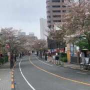 ヒメ日記 2026/04/09 23:43 投稿 さく 熟女の風俗最終章 国分寺店