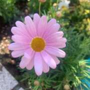 ヒメ日記 2026/04/22 20:13 投稿 さく 熟女の風俗最終章 八王子店