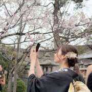 ヒメ日記 2026/04/15 01:57 投稿 岡〇優愛 姫コレクション