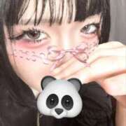 ヒメ日記 2026/04/11 14:15 投稿 ささ 舐めフェチの会