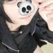 ヒメ日記 2026/04/17 16:59 投稿 ささ 舐めフェチの会