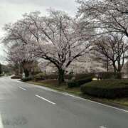 ヒメ日記 2026/04/08 16:02 投稿 るい 美熟女倶楽部Hip's 春日部店