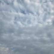 ヒメ日記 2026/04/18 07:32 投稿 田崎 みほ（たざき みほ） 五十路マダム福知山店(カサブランカグループ)