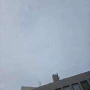 ヒメ日記 2026/07/01 07:32 投稿 田崎 みほ（たざき みほ） 五十路マダム福知山店(カサブランカグループ)