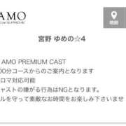 ヒメ日記 2026/04/21 07:12 投稿 宮野 ゆめの☆4 TiAmo（ティアモ）