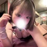 ヒメ日記 2026/05/06 11:32 投稿 おとは Evolution 2nd