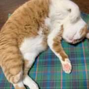 ヒメ日記 2026/04/09 21:35 投稿 みみ 舐めたくてグループ～君とサプライズ学園～越谷校