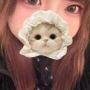 なごみ 本日24時までです！！ 丸妻 厚木店