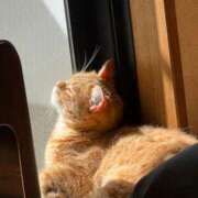 ヒメ日記 2026/04/16 10:03 投稿 みなみ 出会い系人妻ネットワーク 渋谷〜目黒編