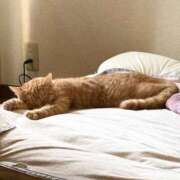 ヒメ日記 2026/04/16 22:02 投稿 みなみ 出会い系人妻ネットワーク 渋谷〜目黒編