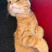 ヒメ日記 2026/04/19 17:22 投稿 みなみ 出会い系人妻ネットワーク 渋谷〜目黒編