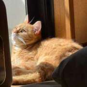 ヒメ日記 2026/04/28 14:02 投稿 みなみ 出会い系人妻ネットワーク 渋谷〜目黒編