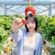 ヒメ日記 2026/04/11 17:47 投稿 エルサ バイオレンス