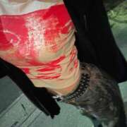 ヒメ日記 2026/04/19 23:05 投稿 エルサ バイオレンス