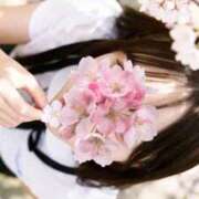 要つばさ めずらしく☀️🤍 Claris Tokyo～クラリス東京～