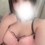 はつね ピンク₍ᐢ.  ̫.ᐢ🥕₎。💗 ノース -North-