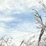 ヒメ日記 2026/04/20 22:34 投稿 みさき 一宮稲沢小牧ちゃんこ