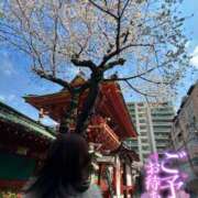 ヒメ日記 2026/04/10 06:45 投稿 日向あおい 多恋人倶楽部