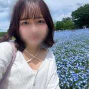 ヒメ日記 2026/06/15 11:09 投稿 日向あおい 多恋人倶楽部