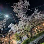 春乃 すう 𝐺𝑜𝑜𝑑 𝑛𝑖𝑔ℎ𝑡 ☪︎*｡꙳ 京都ホットポイント