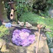 ヒメ日記 2026/07/09 08:55 投稿 あみ BAD COMPANY（バッドカンパニー）