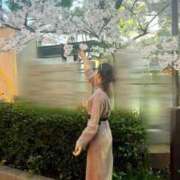 ヒメ日記 2026/04/14 20:41 投稿 マリリン ピンクコレクション大阪キタ店