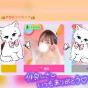 ヒメ日記 2026/05/12 08:09 投稿 もなか 恋するバニー