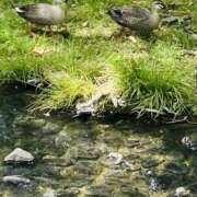 ヒメ日記 2026/04/22 11:55 投稿 鳴海 おふくろ